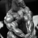 (MASS MONSTER) High Intensity 4 Day Upper Lower Program