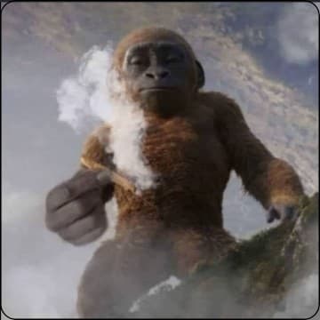 Modified 3 day split