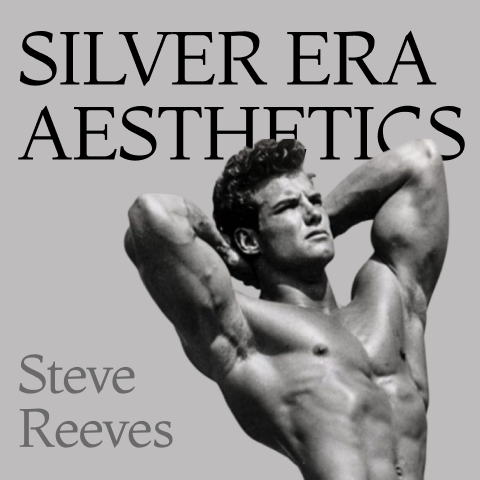 Silver Era Aesthetics Program