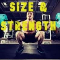 Size & Strength For The Average Busy Trainee