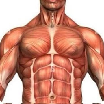 The Longevity Program