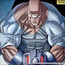 PPL hypertrophy block