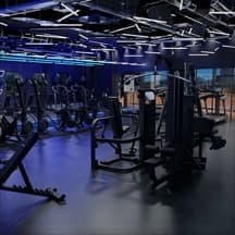 TC Back and Delt Focus
