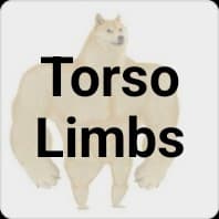 Torso Limbs