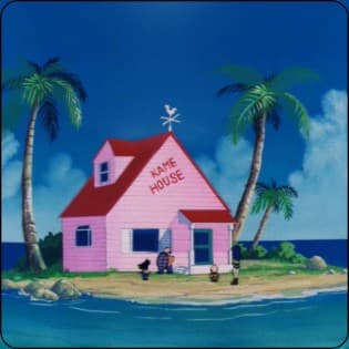 Turtle Hermit School (2x full body)