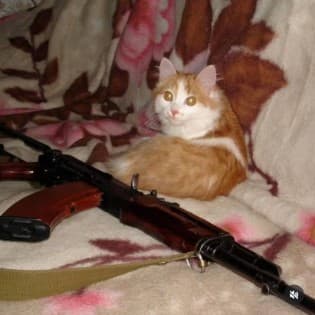 the softest heart carved from the hardest stone