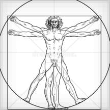 vitruvian man