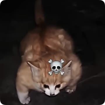 Amsikme
