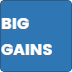 THE BULK - VOLUME PHASE