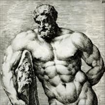Hercules Aesthetics
