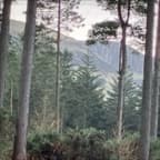 Dumbbell Upper/Lower