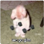 Glute-Focused Training Plan: 8-Weeks