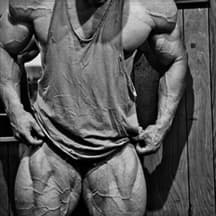 Beast training plan