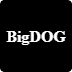 BIGDOG