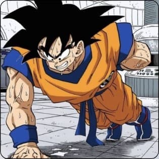 Super Saiyan Training