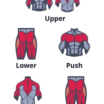 UL&PPL - upper, lower, push, pull and legs