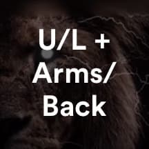 AKLions Upper lower + Arms/Back weakpoint routine
