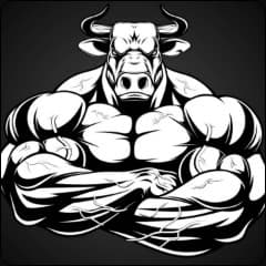 WAGYU A5 V2