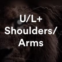 AKLions Upper lower + Arms/ Shoulders routine