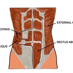 Core work