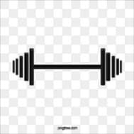 4 day dumbbell training