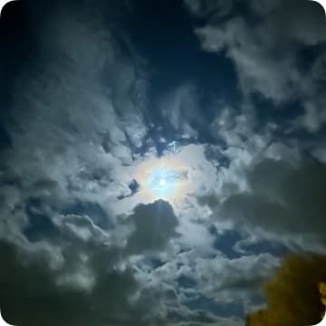 Nuckols Brick Shithouse