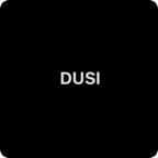 DUSI Chest & Shoulders Focus 4Day Split