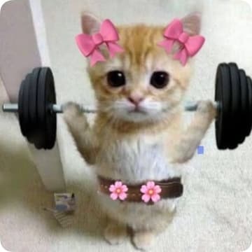 rosalyn’s guide to get stronk