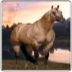 Modo Cavalo - Full Body 3x