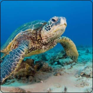 Hüseyinnnnnnnn🌀🌀🌀