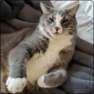 PplPplPplPplPpl (updated)