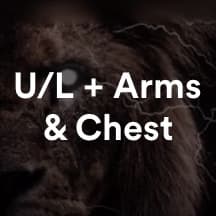 AKLions Upper lower + Arms/Chest weakpoint routine