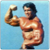Upper lower upper arms