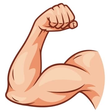 Simon’s 4 day High-Frequency Upper Body Split
