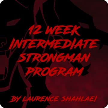 Big Loz 12 week program