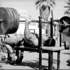 Lestner Bench Programme V2