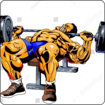 DUP high frequency bench with total body.