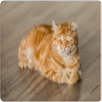 Morten's 5 week program