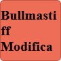 BullMastiff - With accessories - Base Wave 2