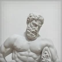 Aesthetic Hypertrophy for the Natural Lifter