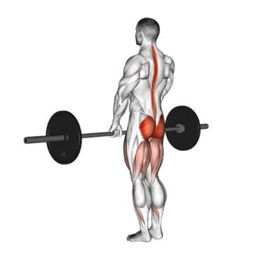 Evaristos U/L Hypertrophy Split (1)