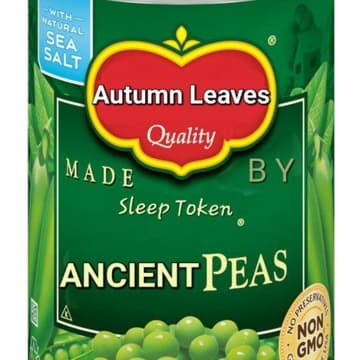 4-Day Push Legs Pull FB