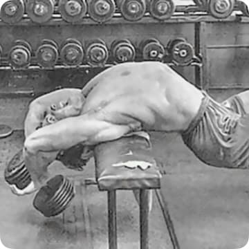 [HIGH TESTOSTERONE] 5 Day Upper/Lower/Arms Program