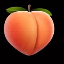12 week programme 🍑