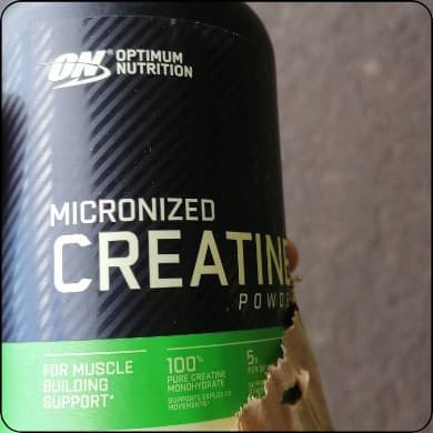 Torso & Limbs Rework