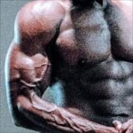 5 Day Physique Builder (PPL UL)