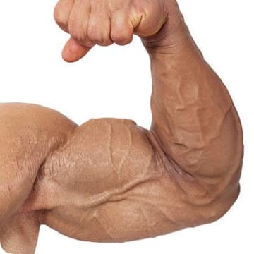 Abdulrahman’s hypertrophy program