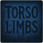 Bodybuilding Torso Limbs