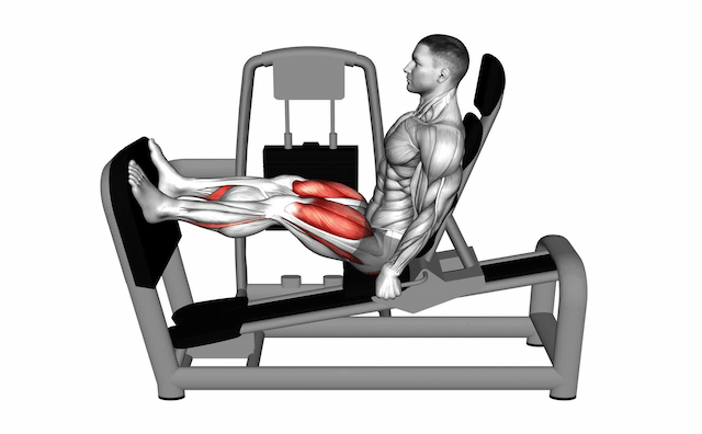 Leg Press