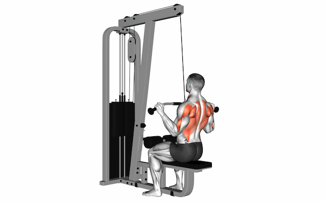 Lat Pulldown